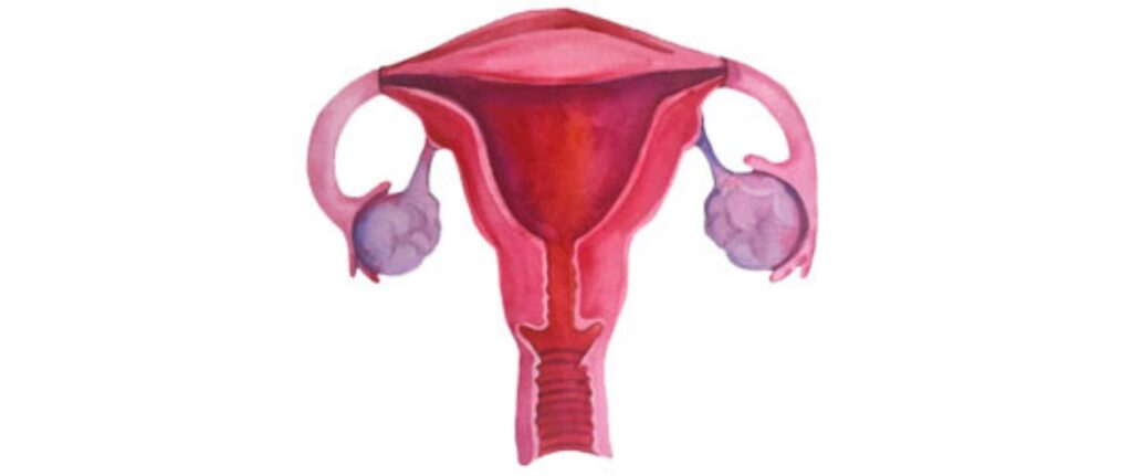  - Neelkanth IVF