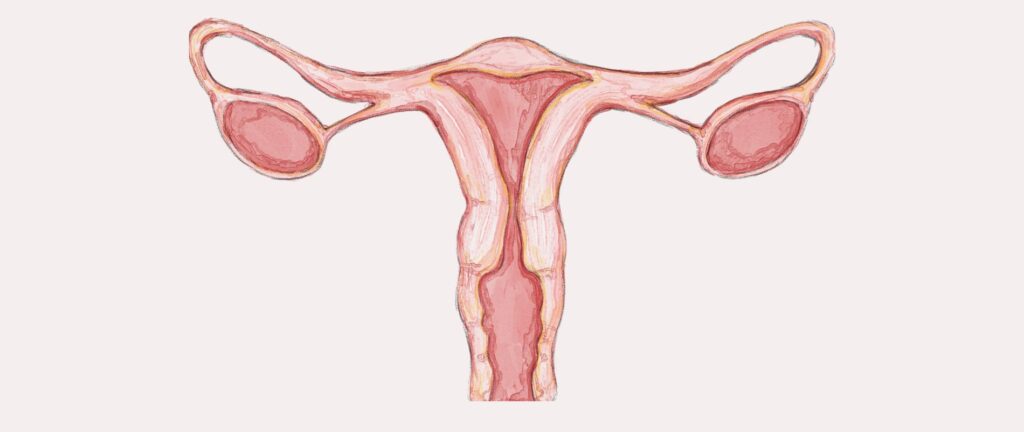  - Neelkanth IVF