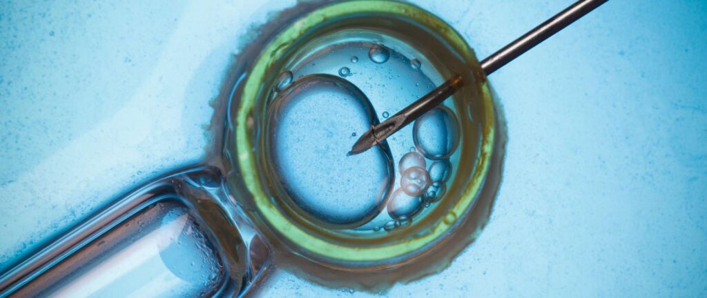  - Neelkanth IVF