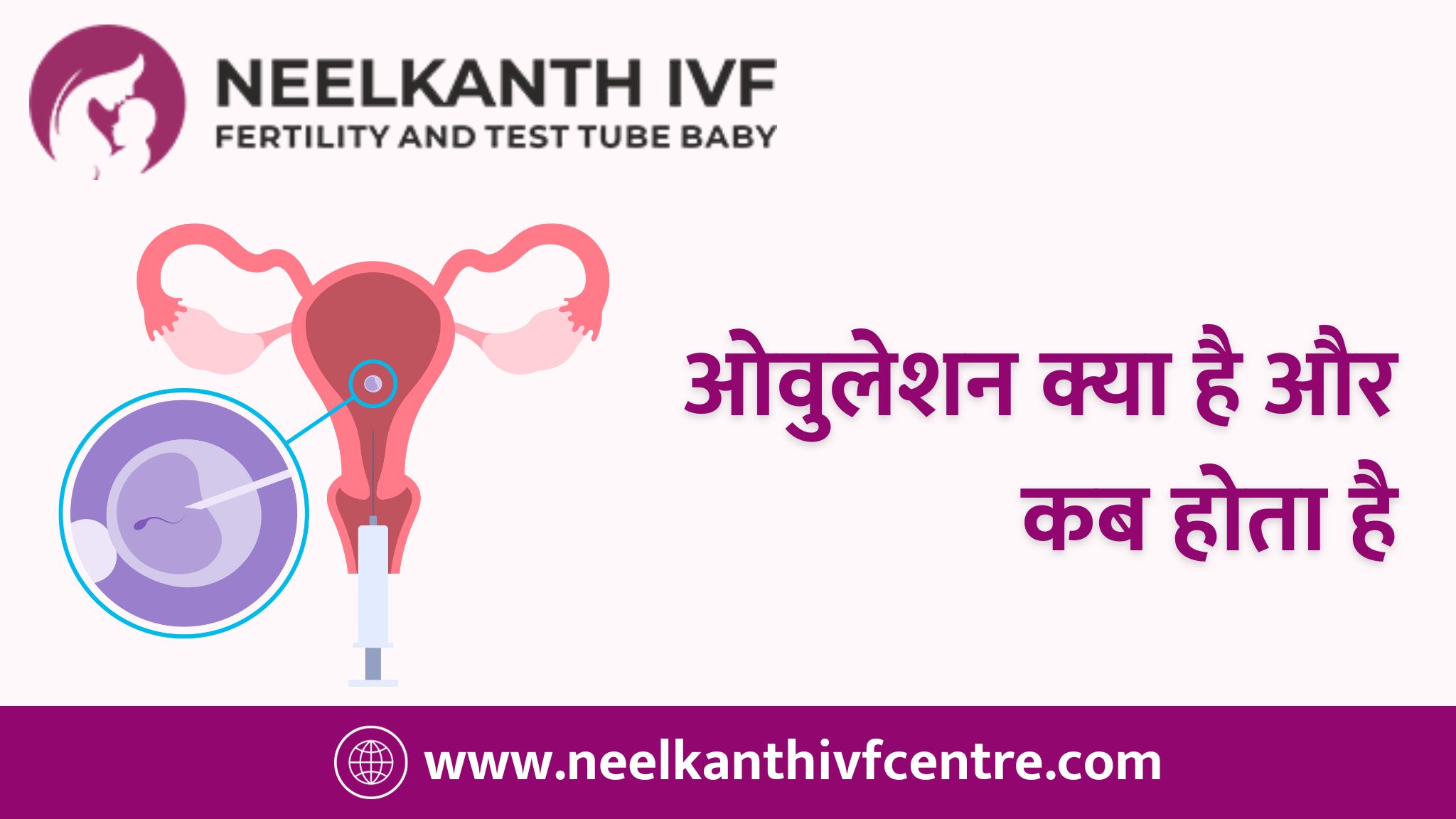 ओवुलेशन क्या है और कब होता है - Neelkanth IVF