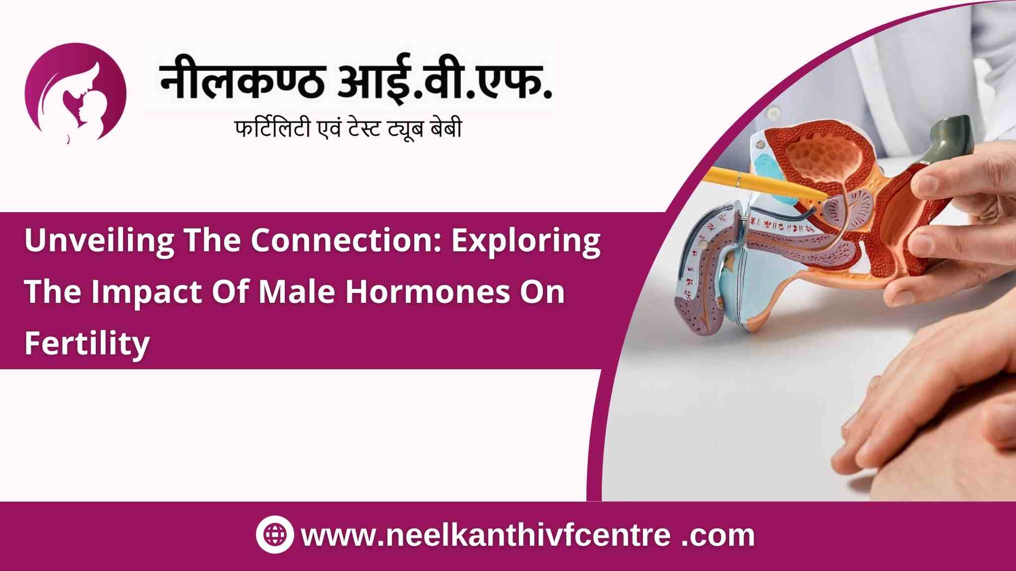 Unveiling the Connection: Exploring the Impact of Male Hormones on Fertility - Neelkanth IVF