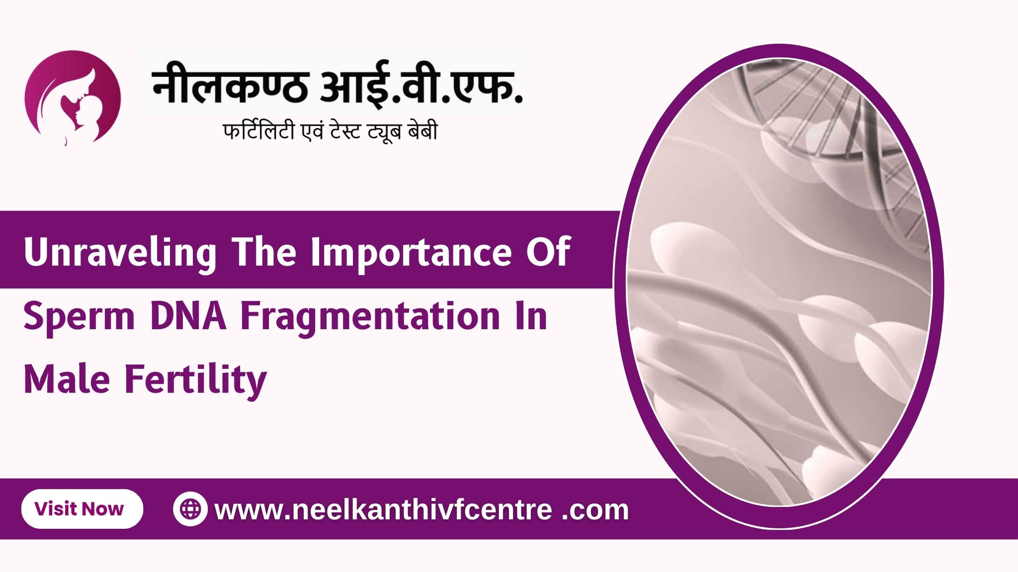 Unraveling The Importance Of Sperm DNA Fragmentation In Male Fertility - Neelkanth IVF