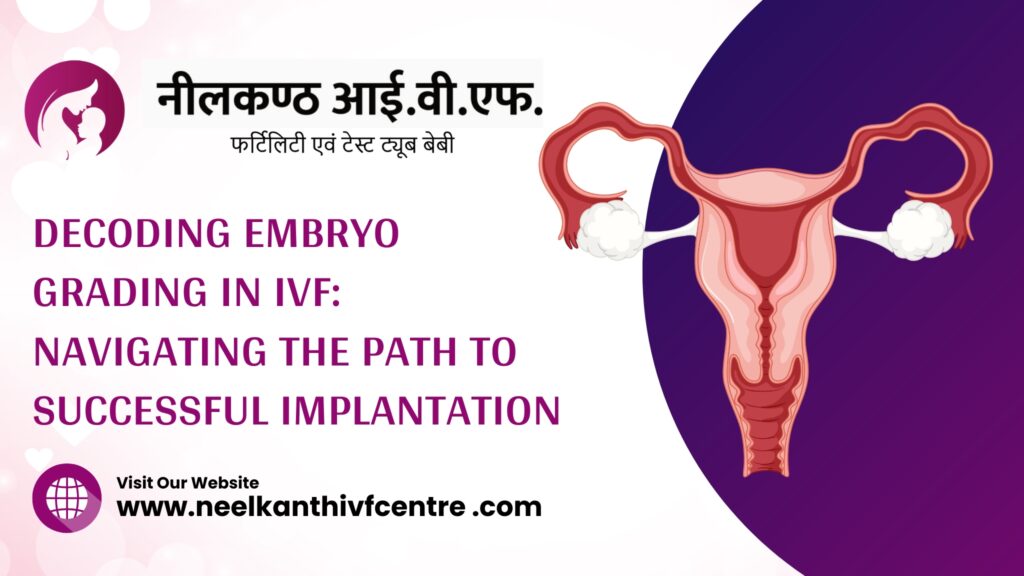 Decoding Embryo Grading In IVF: Navigating The Path To Successful Implantation - Neelkanth IVF
