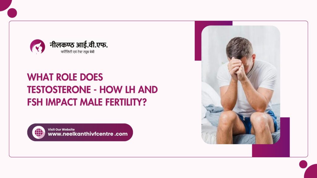 What Role Does Testosterone - How LH And FSH Impact Male Fertility? - Neelkanth IVF