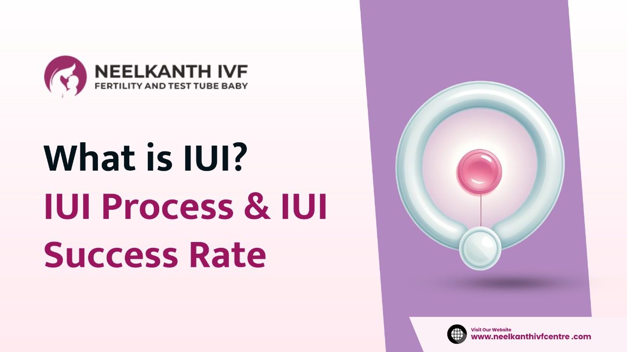 What is IUI? IUI Process & IUI Success Rate - Neelkanth IVF