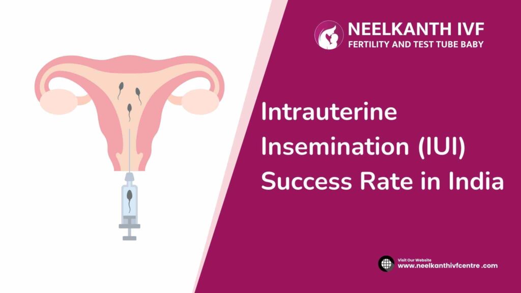 Intrauterine Insemination (IUI) Success Rate in India - Neelkanth IVF