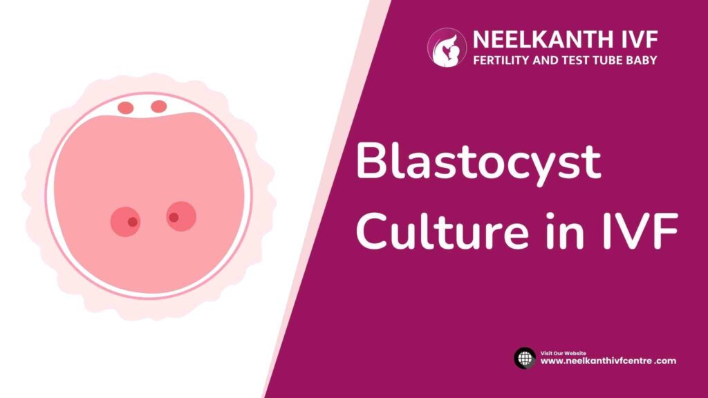 Blastocyst Culture in IVF - Neelkanth IVF