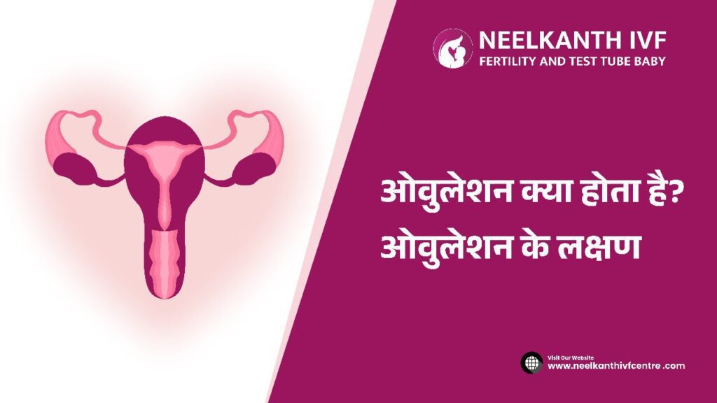 Ovulation - Neelkanth IVF