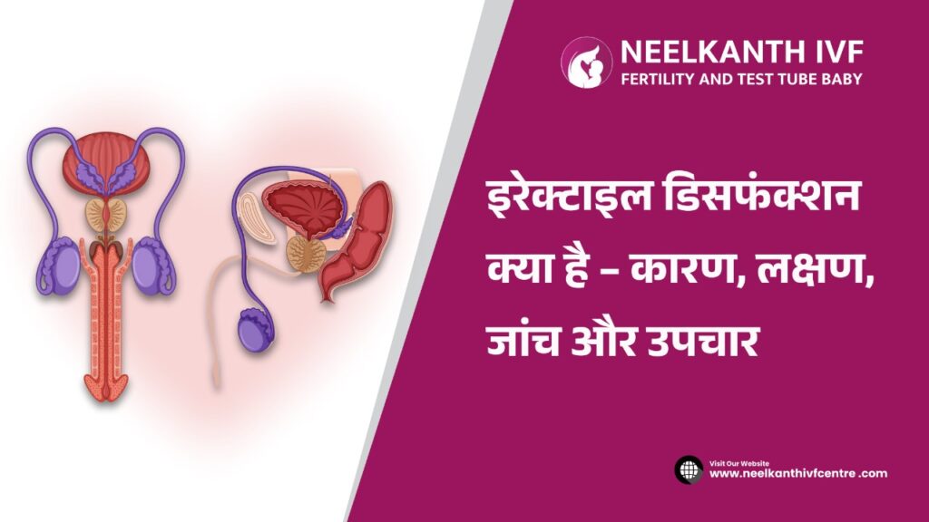 Erectile Dysfunction in Hindi - Neelkanth IVF
