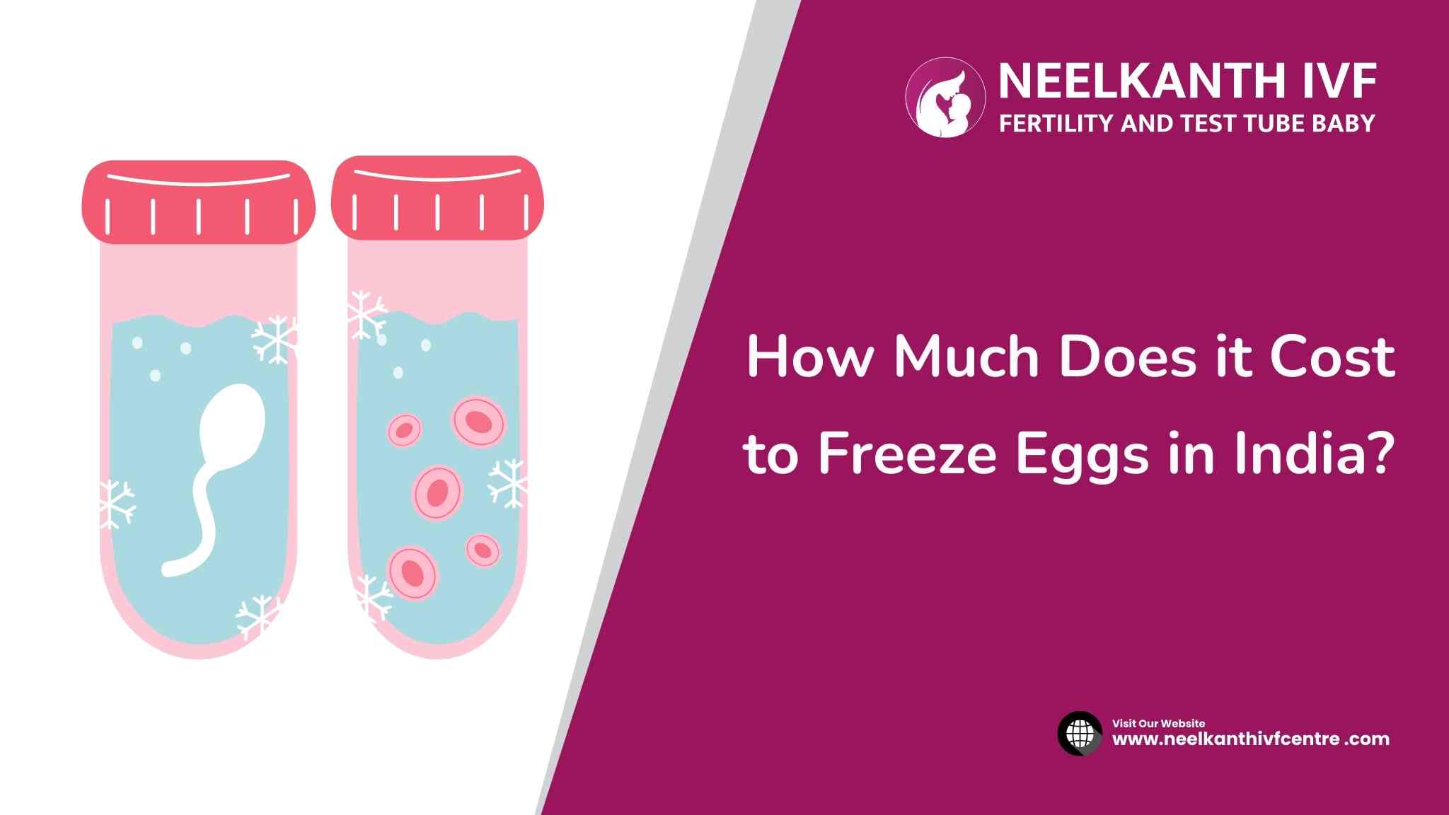 How Much Does it Cost to Freeze Eggs in India? - Neelkanth IVF