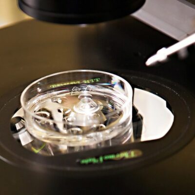ivf1